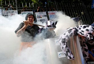 意大利民众在大使馆外抗议示威：别再吃狗肉