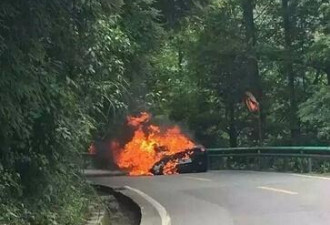 成都一辆价值400万法拉利跑车烧成空架