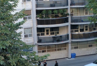 多伦多男子从公寓阳台上乱扔家具 还挥着砍刀