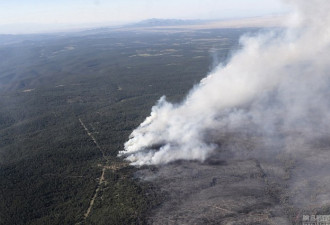 美国新墨西哥州发生山林大火 居民紧急撤离