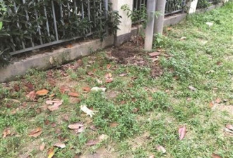 19岁女子无钱在家生子 母婴双亡被男友掩埋