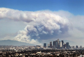 美国加州大火现场：3200公顷土地化作焦土