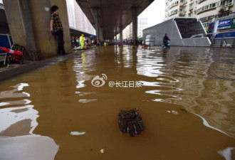 现场实拍：武汉大水围城 交通瘫痪全市停课