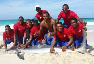 保安游客强拖鲨鱼上岸自拍 致其死亡