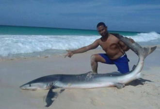 保安游客强拖鲨鱼上岸自拍 致其死亡