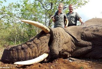 女猎手晒猎杀动物合照遭谴责 辩称是帮助动物