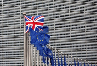 外媒评英国脱欧：欧盟正走向深渊 成濒危物种