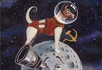 它是一只来自地球的流浪狗 最后却被葬在了太空