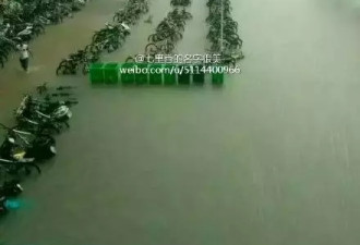 河南新乡暴雨破历史极值 交通瘫痪全城被淹