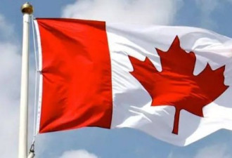 详解加拿大非传统学习签证：SPP和SDS签证