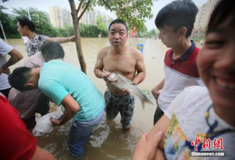 南京内河水位上涨 城区成&quot;渔港&quot;