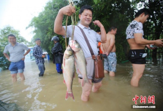 南京内河水位上涨 城区成&quot;渔港&quot;