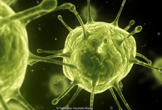 科学家提出癌症进化疗法：利用癌细胞自相残杀