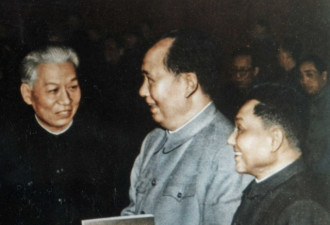 文化大革命毛泽东为何对刘少奇下狠手