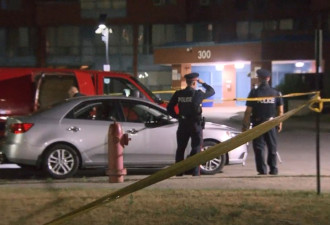 多伦多西区发生枪击事件 1人中枪受伤