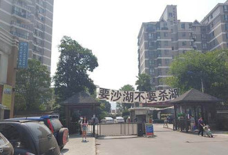 武汉居民状告水务局背后 政府借清淤之名填湖