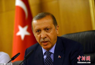 土总统：土耳其已重回我控制之下 回击开始