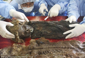 俄罗斯发现800年前小男孩木乃伊 提DNA寻亲