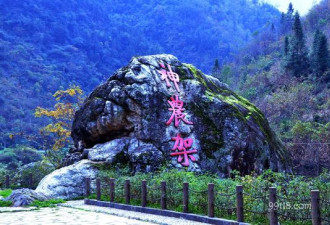 神农架列入世界遗产名录 中国世遗项目达50个
