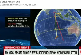 惊爆！马航MH370机长曾在家练习自杀飞行
