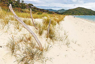 阻击富商入主 新西兰人募款230万纽币买下沙滩
