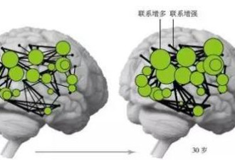 为什么年轻人易冲动?因为他们的大脑在快速变化