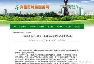 安徽警方：刷爆朋友圈的锅烫扬子鳄视频是真的