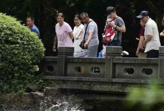 杭州西湖现“鱼跃龙门”奇景 条条都是刘翔