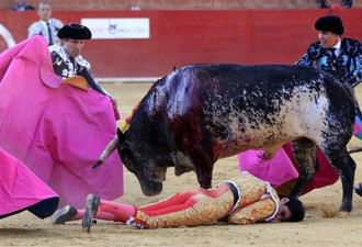 恐怖！西班牙直播斗牛士遭牛刺死全程