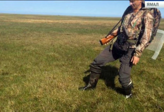 罕见奇观：西伯利亚的草地变成了蹦蹦床
