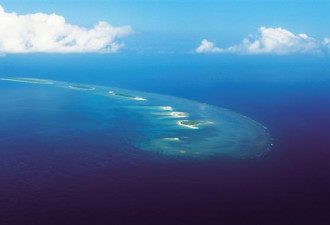 日媒：中国在南沙群岛养猪养鱼 打造观光胜地