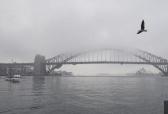 浓雾笼罩悉尼如“雾都” 建筑集体隐身