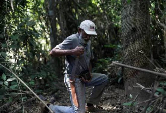 里约奥运派发百万套套,竟是为了保护热带雨林?