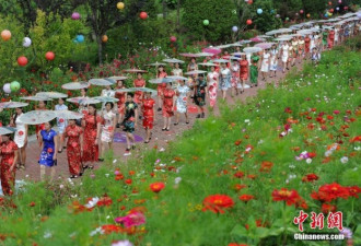 3000余名旗袍佳丽在贵州“凉都”秀身段
