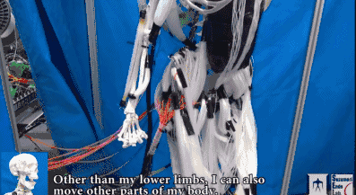 机器人安装人造肌肉如同终结者:动作类似人类