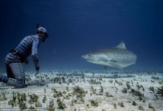 隐身潜水服问世 海洋生物也监测不到人体信号