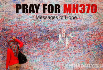 空难调查专家:MH370坠海前或受操控滑入水中