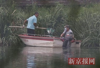 北京海淀稻香湖多处湖面出现死鱼 官方称因缺氧