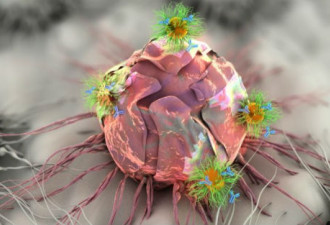 MIT重磅新技术 神奇贴片有效对抗癌症
