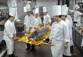 杭州一酒店办鱼宴 150斤大鱼让厨师无从下手
