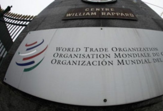 欧盟也向WTO起诉:中国限制原材料出口