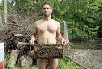 男子全裸提蜂房 面对上千只蜜蜂淡定自若