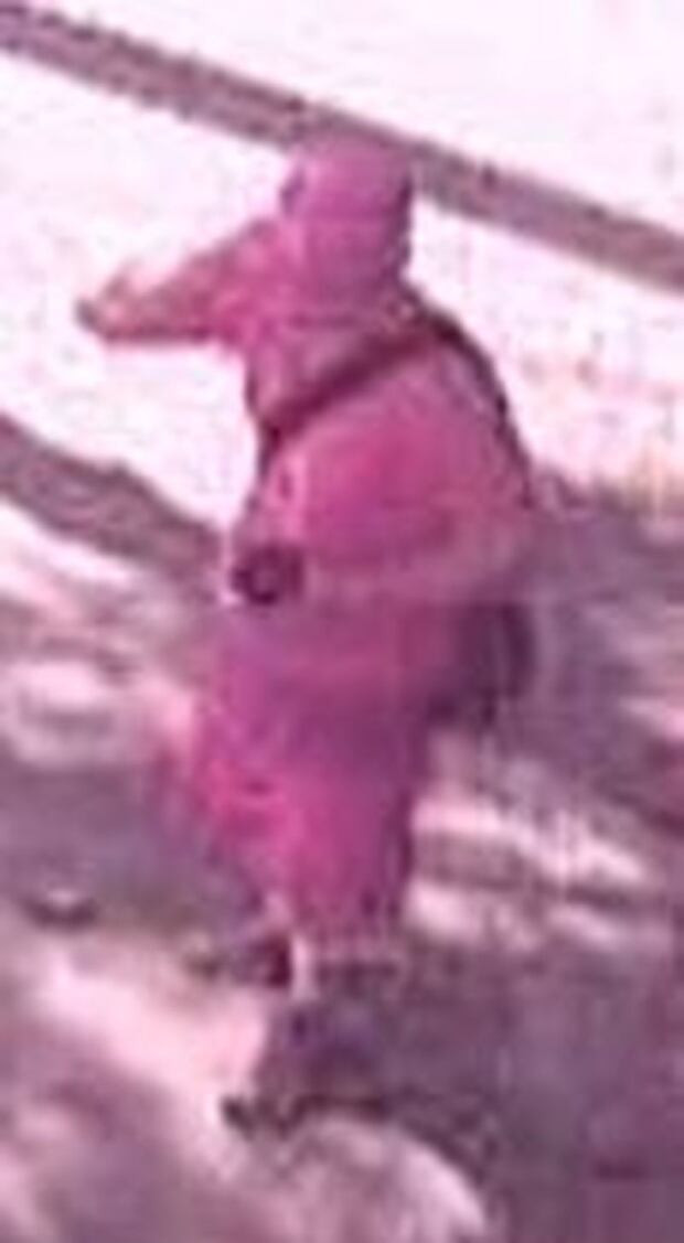 Voyeurism suspect