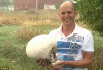 美国夫妻后院发现巨型“鸵鸟蛋” 真相是……