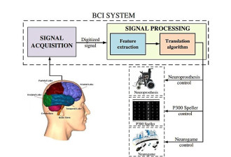 科学家：黑客可通过脑机接口监控大脑神经信号