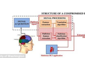 科学家：黑客可通过脑机接口监控大脑神经信号