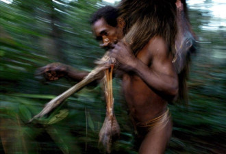 印尼部落住数十米高“树屋” 传言有食人习俗