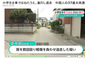 中国女子在日本开车撞两名孩童后下车打人被捕