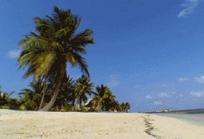 安省的Canatara沙滩，美得堪比古巴！
