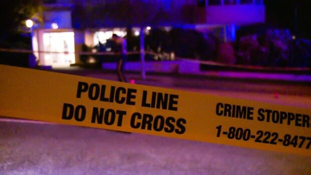 A double stabbing at the CNE grounds Saturday night left two men in their 20s injured, one seriously so.